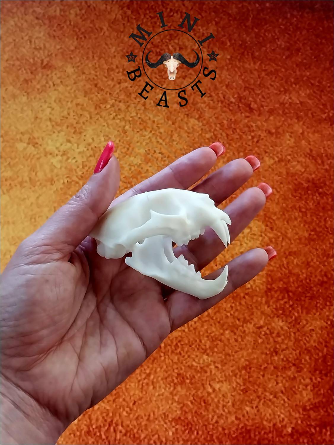 WhatsApp Image 2023-11-07 at 22.17.58 (1)